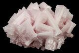 Pink Halite Crystal Cluster - Trona, California #239554-1